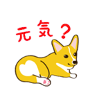 コーギーまめもちのスタンプ（個別スタンプ：4）