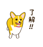 コーギーまめもちのスタンプ（個別スタンプ：6）