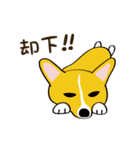 コーギーまめもちのスタンプ（個別スタンプ：8）