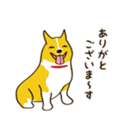 コーギーまめもちのスタンプ（個別スタンプ：9）