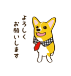 コーギーまめもちのスタンプ（個別スタンプ：11）