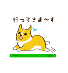 コーギーまめもちのスタンプ（個別スタンプ：12）
