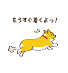 コーギーまめもちのスタンプ（個別スタンプ：13）