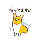 コーギーまめもちのスタンプ（個別スタンプ：14）