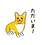コーギーまめもちのスタンプ（個別スタンプ：15）