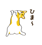 コーギーまめもちのスタンプ（個別スタンプ：16）