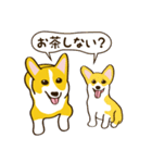 コーギーまめもちのスタンプ（個別スタンプ：17）