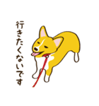 コーギーまめもちのスタンプ（個別スタンプ：19）