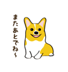 コーギーまめもちのスタンプ（個別スタンプ：20）