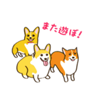 コーギーまめもちのスタンプ（個別スタンプ：24）