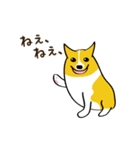 コーギーまめもちのスタンプ（個別スタンプ：27）