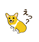 コーギーまめもちのスタンプ（個別スタンプ：31）