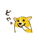 コーギーまめもちのスタンプ（個別スタンプ：35）