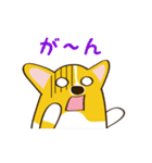 コーギーまめもちのスタンプ（個別スタンプ：36）