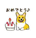 コーギーまめもちのスタンプ（個別スタンプ：37）