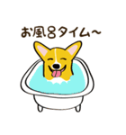 コーギーまめもちのスタンプ（個別スタンプ：39）