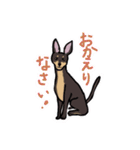 トイマントルティ！（個別スタンプ：11）