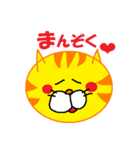 ねこ顔(トラ)（個別スタンプ：14）