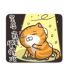 ランラン猫 3（個別スタンプ：9）