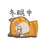 ランラン猫 3（個別スタンプ：27）