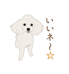 犬いろいろ（個別スタンプ：3）