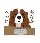 犬いろいろ（個別スタンプ：4）
