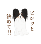 犬いろいろ（個別スタンプ：5）
