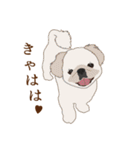 犬いろいろ（個別スタンプ：7）