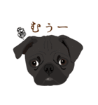 犬いろいろ（個別スタンプ：8）