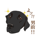 犬いろいろ（個別スタンプ：9）