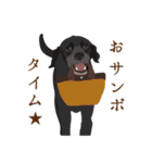 犬いろいろ（個別スタンプ：10）