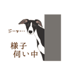 犬いろいろ（個別スタンプ：15）