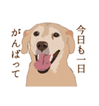 犬いろいろ（個別スタンプ：18）