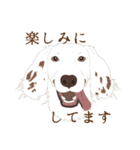 犬いろいろ（個別スタンプ：19）