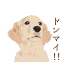犬いろいろ（個別スタンプ：22）