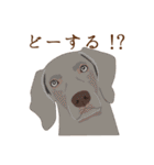 犬いろいろ（個別スタンプ：23）