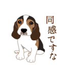 犬いろいろ（個別スタンプ：24）