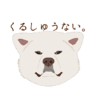 犬いろいろ（個別スタンプ：31）