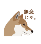 犬いろいろ（個別スタンプ：32）
