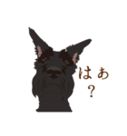 犬いろいろ（個別スタンプ：33）