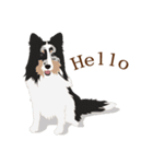 犬いろいろ（個別スタンプ：35）