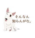 犬いろいろ（個別スタンプ：36）