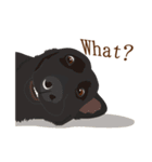 犬いろいろ（個別スタンプ：37）