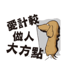 0.5mm Popular Dachshund！（個別スタンプ：18）