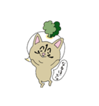 ゆるっ！ねこ野菜イチオ。（個別スタンプ：19）