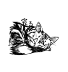 寝る猫 筆描き（個別スタンプ：21）