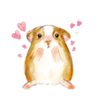 Capybara and Guinea pigs（個別スタンプ：3）