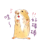 Capybara and Guinea pigs（個別スタンプ：7）