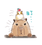 Capybara and Guinea pigs（個別スタンプ：13）