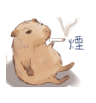 Capybara and Guinea pigs（個別スタンプ：21）